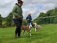 Michaëlla Maigret - Éducation Canine