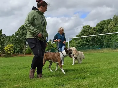 Michaëlla Maigret - Éducation Canine