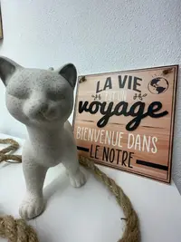 Animaleko Coon