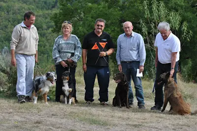 Roland Renard | Comportementaliste Canin Diplômé d'État (eapac), Dressage, Educateur Canin.