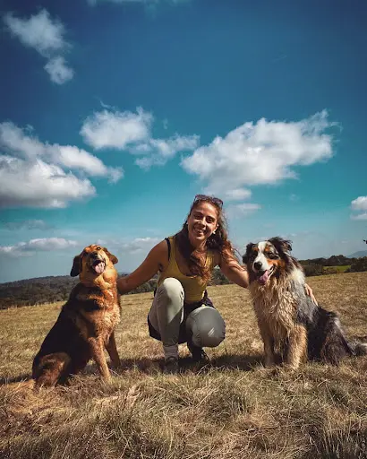 Éducateur Canin | la Voix des Chiens
