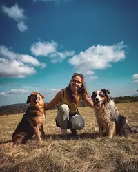 Éducateur Canin | la Voix des Chiens