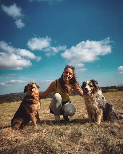 Éducateur Canin | la Voix des Chiens