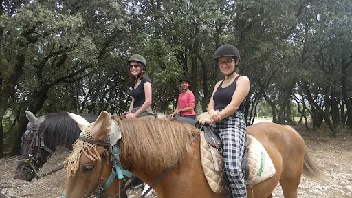 Centre Equestre le Mazet