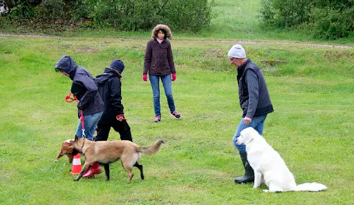 Les Jardins Canins de Julie