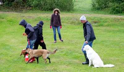 Les Jardins Canins de Julie