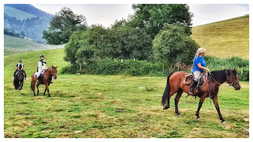 Les Chevaux du Benou