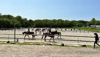 Poney Club de Monteclin