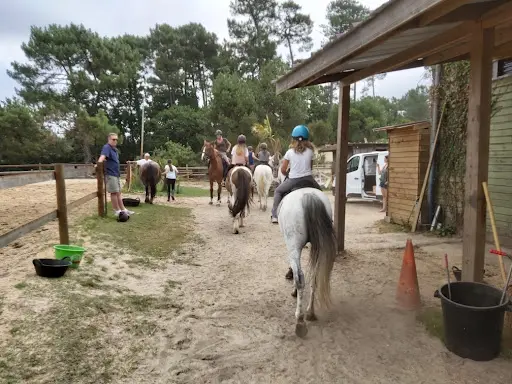 Ecuries de Biscarrosse Laouadie
