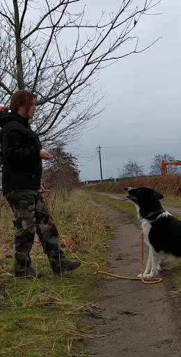 Laura Werlé - Éducation / Rééducation Canine & Dog Sitting