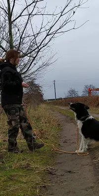 Laura Werlé - Éducation / Rééducation Canine & Dog Sitting