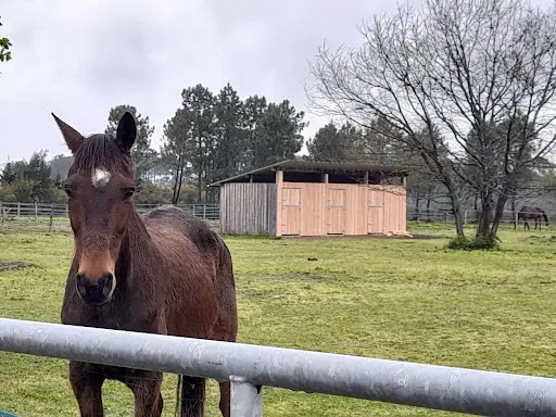 Les Cavaliers et Amis des Chevaux