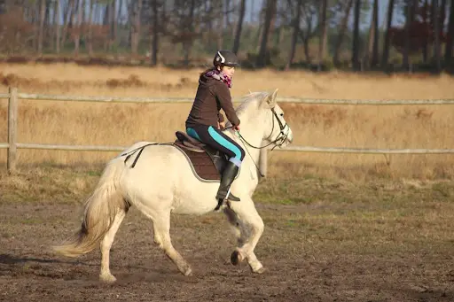 Ranch l'Eldorado