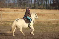 Ranch l'Eldorado