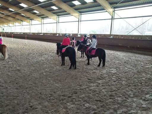 Haras des Bussières