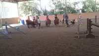Pony Veyle