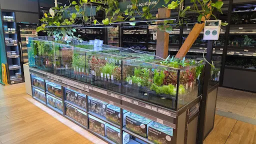 Botanic Animalerie