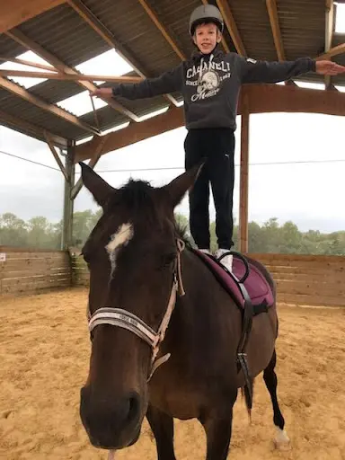 Carole Lp Equithérapie