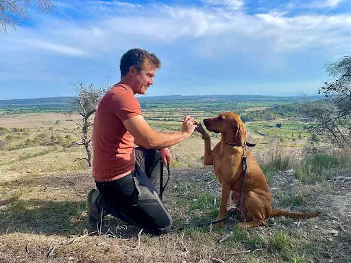 Wisdog - Educateur Comportementaliste Canin