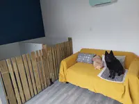 Toutou et Grosminet
