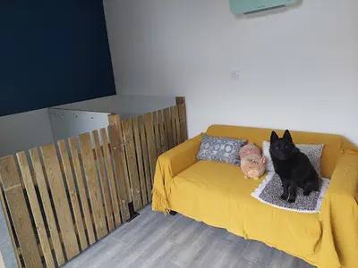 Toutou et Grosminet