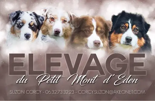 Élevage du Petit Mont D’eden