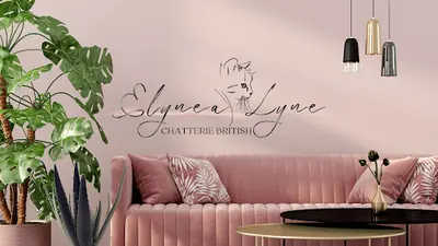 Chatterie Elynea Lyne (british, Scottish)