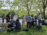 Superdoggy - Educateur et Comportementaliste Canin - Blois 41 Loir-et-cher