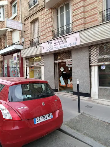 Rêve de Chien