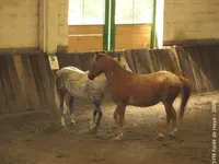 Ecole d'Équitation du Parc de Haye