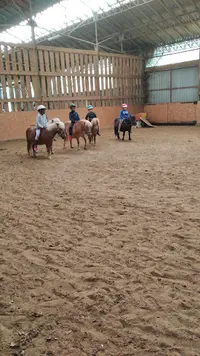 Ferme Equestre de Bois Guilbert