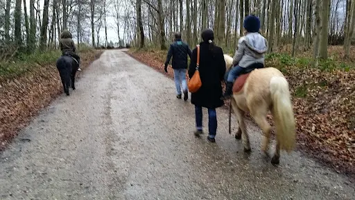 Association Cheval-espérance