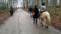 Association Cheval-espérance