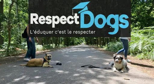 Educateur Canin Respectdogs Rouen