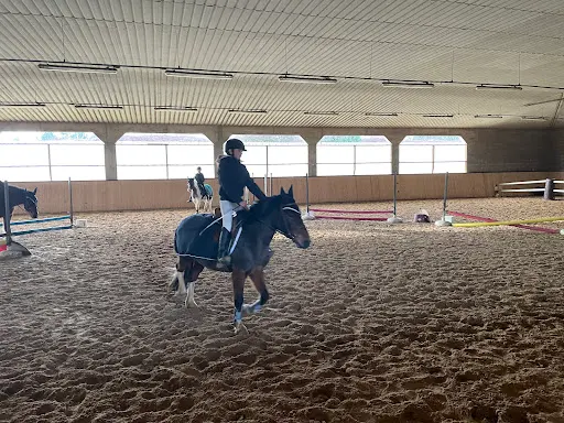 Poney Club