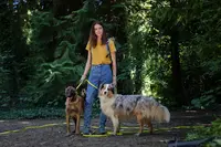 Canis Familiaris - Éducation Canine