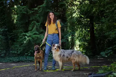 Canis Familiaris - Éducation Canine