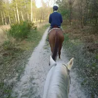 Jumping Club de Bois le Roi