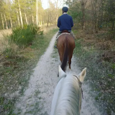 Jumping Club de Bois le Roi