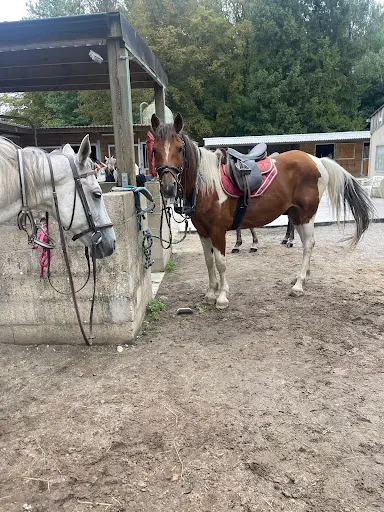 Sarl Centre Equestre de Boissy Fresnoy