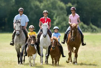 Centre Equestre - Poney-club la Courbette