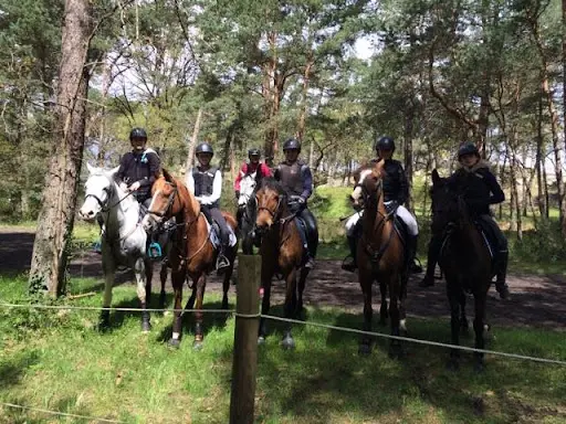 La Courbette - Formations Pro Equitation