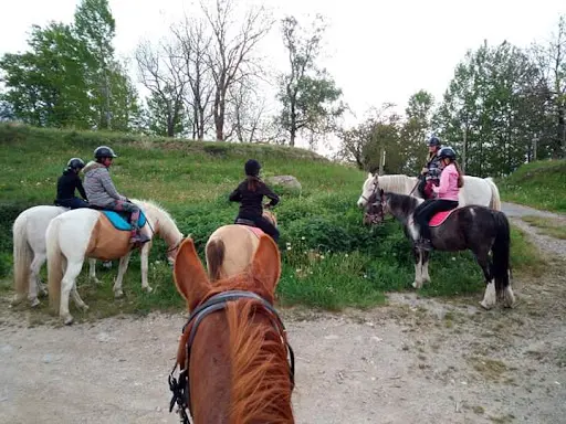 Mountain Pony