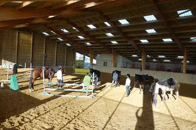 Ecuries Chevalons Ensemble