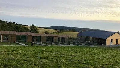 Pension Canine et Féline du Domaine de la Bourdillerie