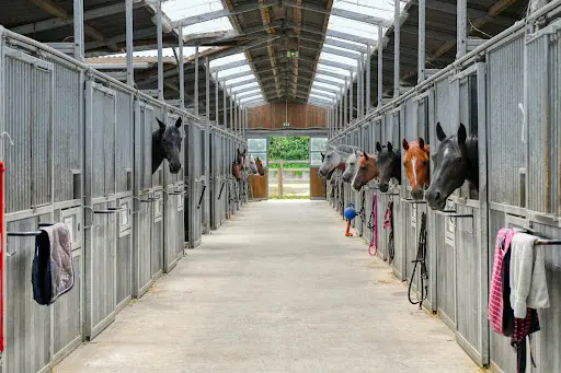 Equirider.fr: Pension Chevaux