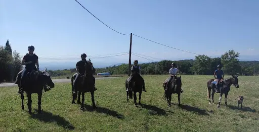 Ecuries du Freyche