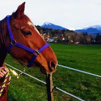 Élevage de la Charniaz