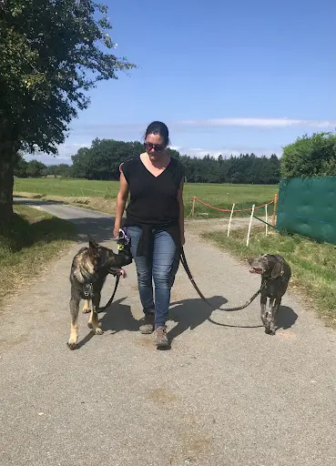 Les Chiens Parlent - Éducation et Comportement Canin