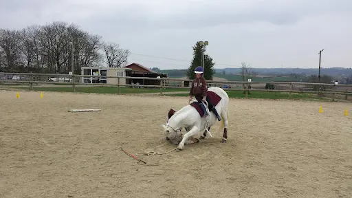 Haras du Valentier